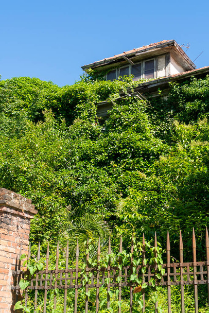 Verlassenes altes Haus auf einem Hügel hinter einem rostigen Eisenzaun mit Gestrüpp von Pflanzen. Vertikaler dramatischer Blick - Foto, Bild