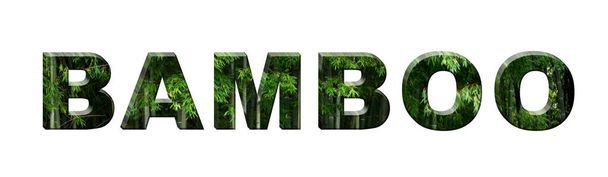 Die Inschrift "Bambus". Bambus-Textgestaltung. Banner. - Foto, Bild