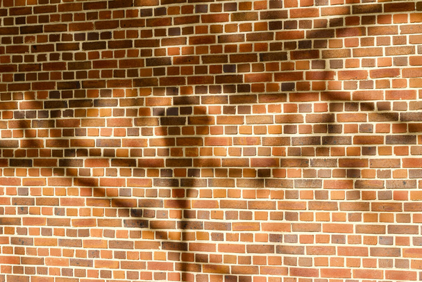 Fondo de textura de pared de ladrillo exterior marrón vintage con sombras de árboles y silueta de una lámpara de calle de bajo ángulo de luz solar
 - Foto, Imagen