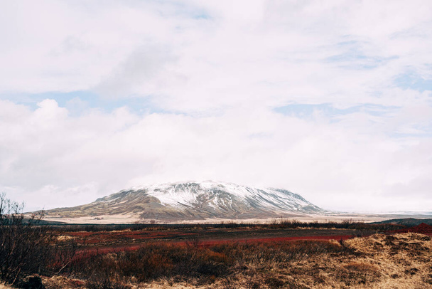 A wide field of dry yellow grass and a mountain in the distance with a snow-capped peak, against a blue sky with white clouds in Iceland. - Foto, afbeelding