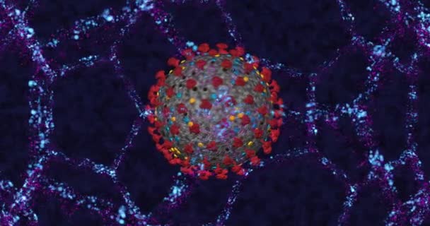 Coronavirus-Zelle COVID-19 hautnah auf neonmolekularer Struktur Hintergrund. 3D-Rendering-Schleife 4k - Filmmaterial, Video