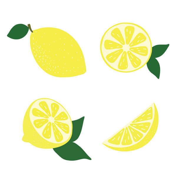 Set of hand drawn lemons, whole, half and slices with a leaves, cartoon style, vector illustration - Vektör, Görsel