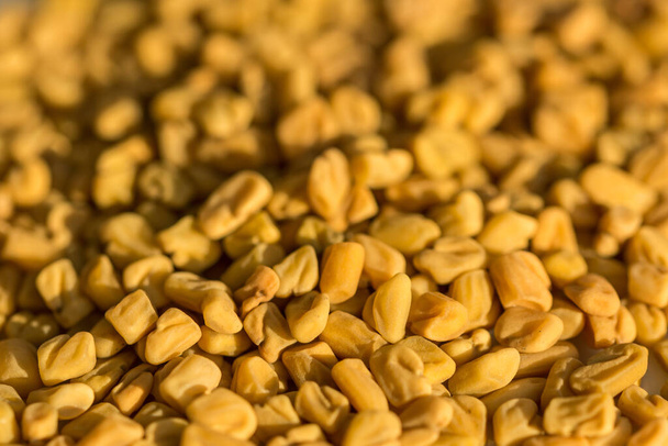Closeup macro shot of yellow fenugreek seed - Foto, Bild