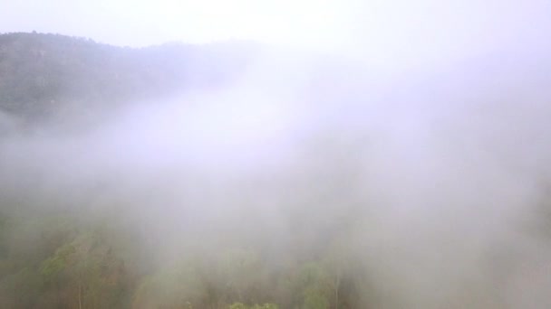 Erdőtüzek nyüzsgése. Erdőirtás és klímaválság. Toxikus köd az esőerdők tüzéből. Légi felvétel 4k. - Felvétel, videó