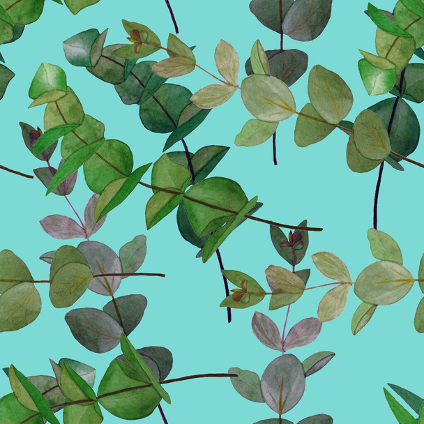 Watercolor seamless pattern with eucalyptus branch. Leaf background. Floral vintage decoration. Can be used for any kind of a design. - Photo, Image