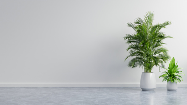 White wall empty room with plants on a floor,3D rendering - Photo, Image