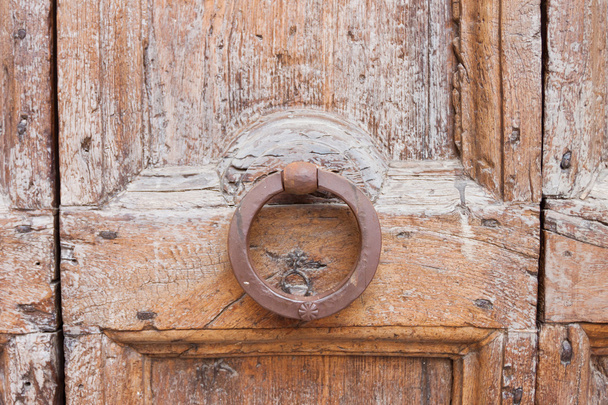 Decorative bronze lion head door knob - Фото, зображення