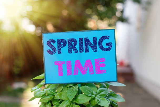 Text sign showing Spring Time. Conceptual photo temperate season of the year identified by a revival of plants Plain empty paper attached to a stick and placed in the green leafy plants. - Photo, Image
