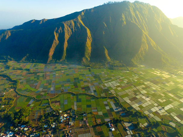 Красивые рисовые поля и зеленые холмы вид сверху, Воздушное сельское хозяйство на рисовых полях, желтое рисовое поле в Сянджуре Муламула Самосир Тоба - Фото, изображение