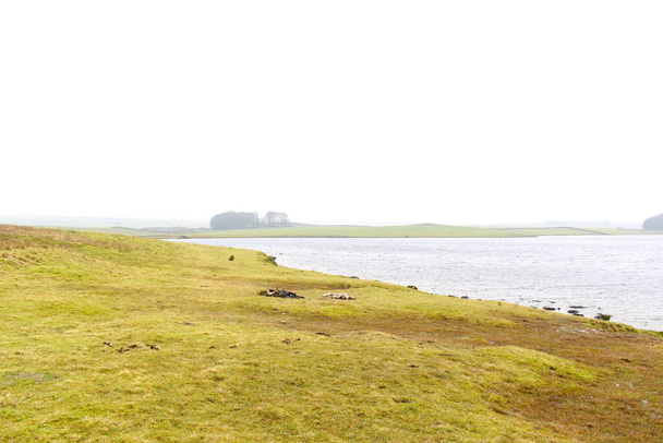 View of Water in the middle of green grass field in in morning fog. Malham Tarn,  North Yorkshire - Photo, Image