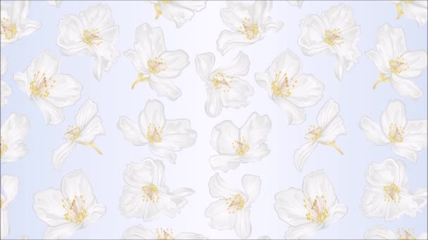İllüstrasyon yasemin çiçeklerinin kusursuz döngü animasyonu festivalsel arka plan klasik hareketi - Video, Çekim
