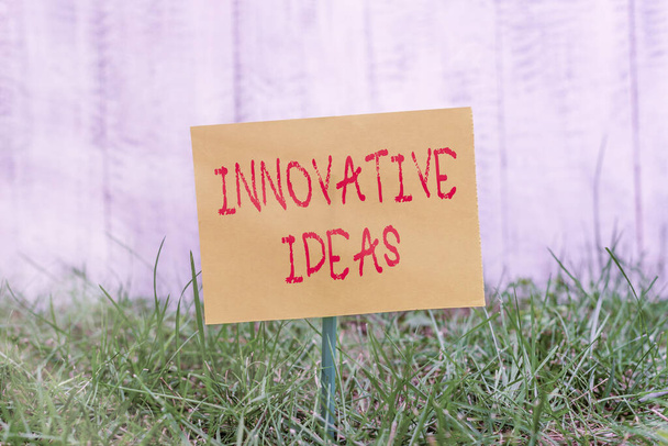 Writing note showing Innovative Ideas. Business photo showcasing concepts that are a better solution to market needs Plain paper attached to stick and placed in the grassy land. - Photo, Image