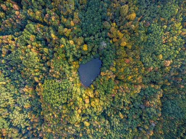 Aerial view. Wild forest pond. Dark Lake, Krasnodar region, Russia. - Foto, afbeelding
