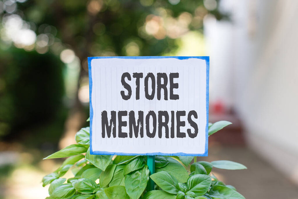 Writing note showing Store Memories. Business photo showcasing a process of inputting and storing data previously acquired Plain paper attached to stick and placed in the grassy land. - Photo, Image