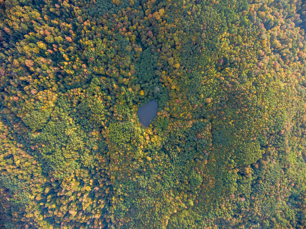 Aerial view. Wild forest lake in Russia, Caucasus. - Foto, afbeelding
