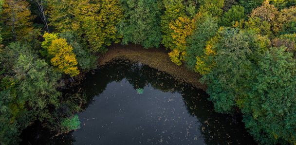Aerial view. Dark lake in the shadow of hornbeam trees. - Foto, imagen