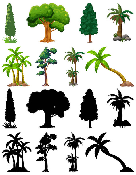 Набор растений и деревьев с иллюстрацией силуэта - Вектор,изображение