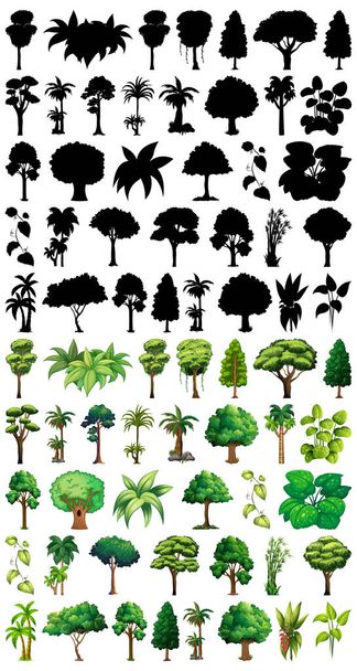 Conjunto de planta y árbol con su silueta ilustración - Vector, Imagen