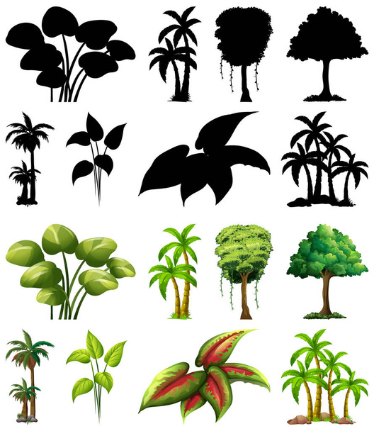 Set aus Pflanze und Baum mit Silhouetten-Illustration - Vektor, Bild