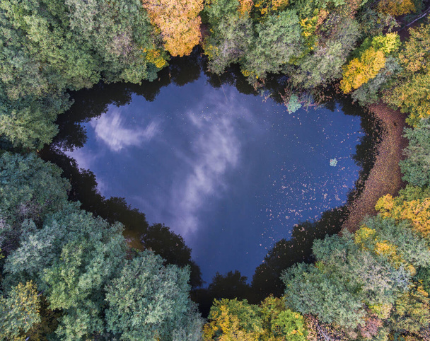 Aerial top view perspective of autumn wild forest lake - Foto, immagini