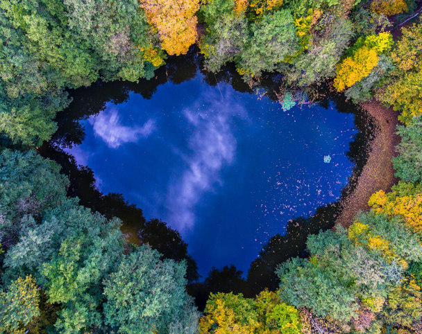 Aerial top view perspective of autumn wild forest lake - Foto, afbeelding
