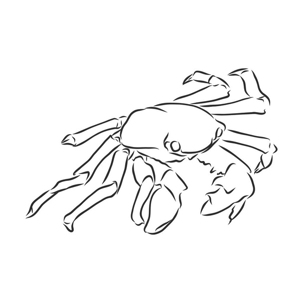 Sea blue striped illustration with crab - Vector, imagen