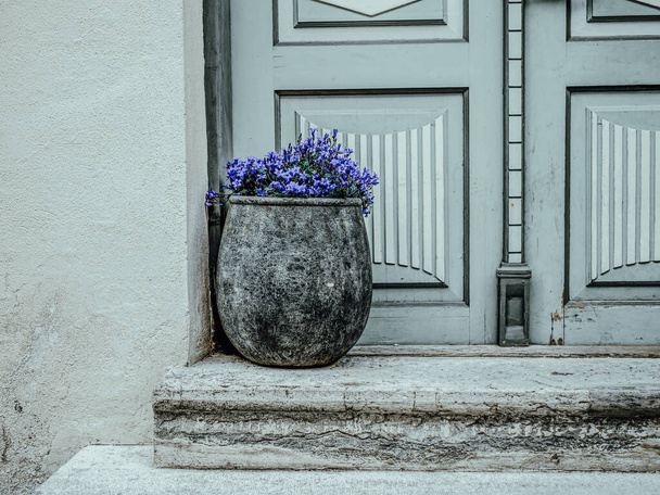 Декоративний горщик з квітами на вулиці естонського міста, Таллінн - Фото, зображення