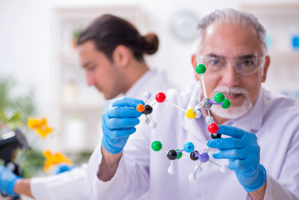 Two chemists working in the lab - Photo, Image