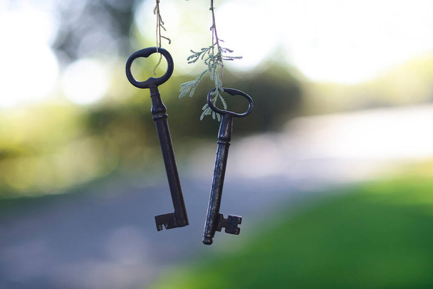 Duas chaves da antiga casa de campo no fundo natural
. - Foto, Imagem