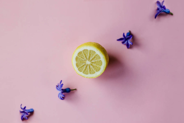 Minimal composition with spring flowers and half a lemon on pastel pink background. Flat lay - Foto, Bild