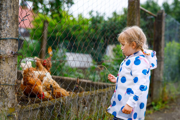 Outdoor portrait of happy smiling little toddler girl wearing rain jacket on rainy cloudy day feeding hen. Cute healthy child in colorful clothes outdoor activity - Foto, immagini