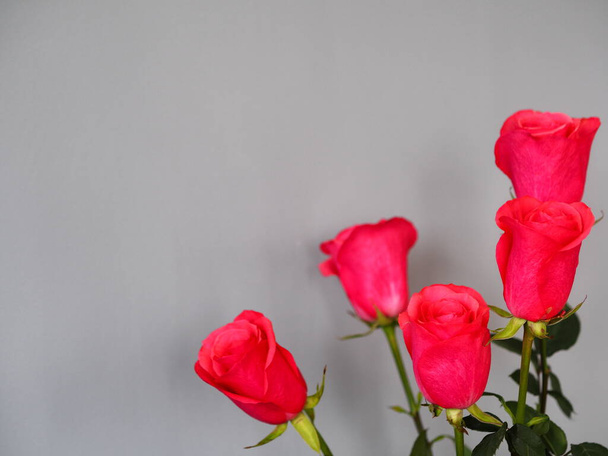Congratulation to the holiday. Bouquet of pink roses on a gray background. Place for text. - Foto, afbeelding