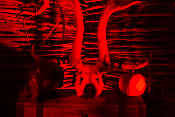 Hayvan kafatası, şapka ve balkabağı, kızılötesi ışıkla dolu odada, göğsün üzerinde. Cadılar Bayramı dekorasyonu - Fotoğraf, Görsel