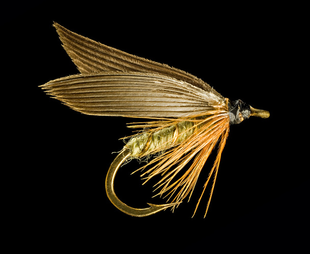 Рыболовная муха
 - Фото, изображение