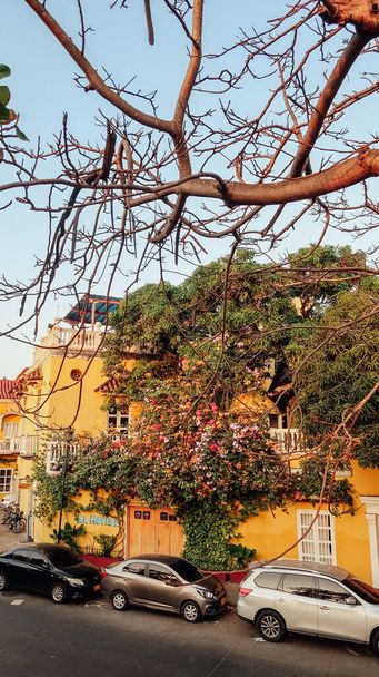 CARTAGENA, COLOMBIA - CIRCA FEBRUARY 2020: old buildings painted in bright yellow with traditional balconies and flowers in historical colonial area in the center of Cartagena on a sunset - Φωτογραφία, εικόνα