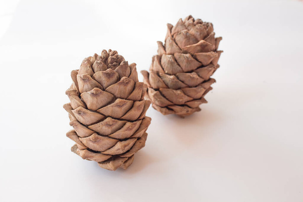 Christmas pinecone fir on white background. Top view. Mock up. - Фото, изображение