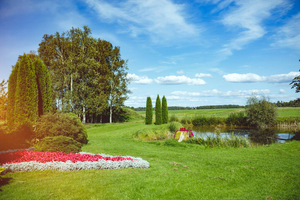 Small pond at the countryside. Bright blue sky and lush green gass and trees. - Photo, Image