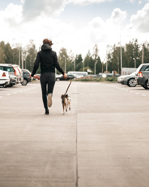 Girl runs with a dog on the road. - Φωτογραφία, εικόνα