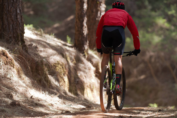 Mountain biking man riding on bike in summer mountains forest landscape - Photo, Image