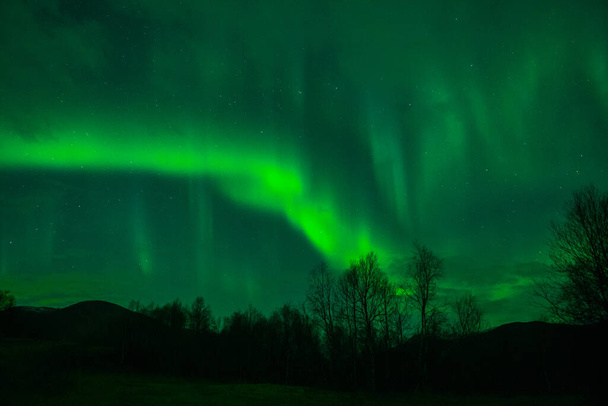 amazing northern lights at norvegian night - Photo, Image