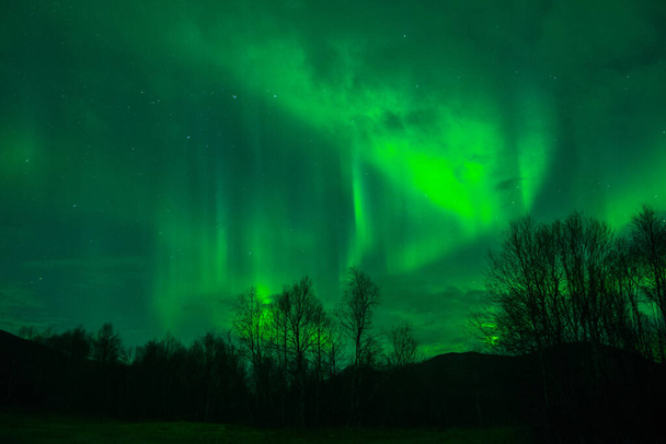 изумительное северное сияние в норвежскую ночь
 - Фото, изображение