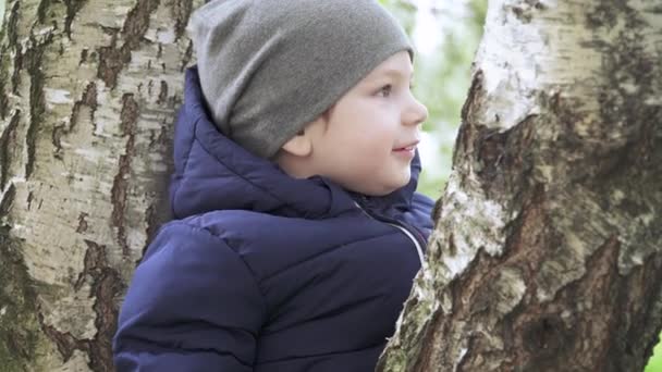 Boy in a hat on a birch - Imágenes, Vídeo