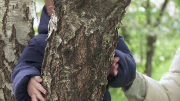Boy on a birch in park - Filmagem, Vídeo