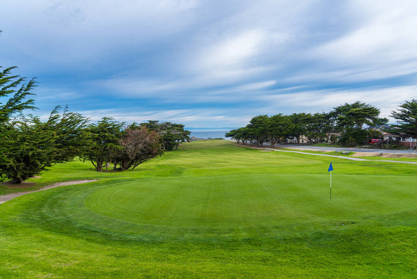 Вид на Тихий океан с поля для гольфа в Монтерее. Зеленое поле для гольфа с деревьями
  - Фото, изображение