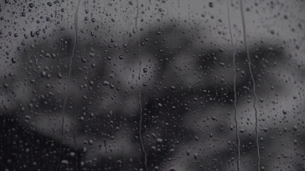 Krople deszczu na ciemnej szklance - Materiał filmowy, wideo