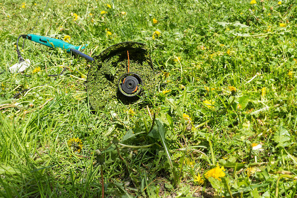 Зеленая газонокосилка на травянистом поле. Сочная трава и цветы на лужайке в солнечный летний день. кабельный электронный триммер для уничтожения одуванчиков. Утилизация сорняков и борьба с вредными растениями
 - Фото, изображение