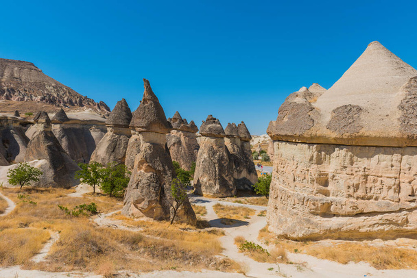 Долина Пасабаґських монахів з феєю Chimneys і Mushroom Rock. Відомий своїми грибоподібними скелями. Каппадокія (Невешир, Туреччина).. - Фото, зображення