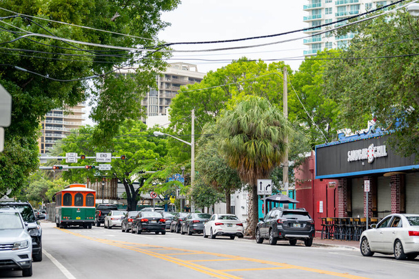 Las kokosowy Grand Avenue Miami FL - Zdjęcie, obraz