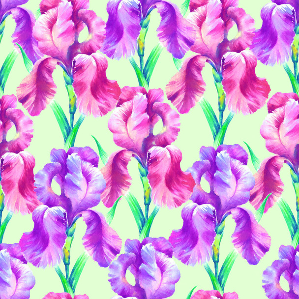 Watercolor hand paint iris flower, seamless pattern for textile, wallpaper,background. - Fotoğraf, Görsel