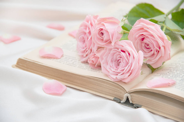 Rose e sfondo vecchio libro
 - Foto, immagini
